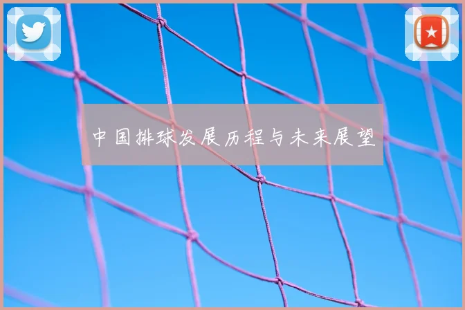 中国排球发展历程与未来展望
